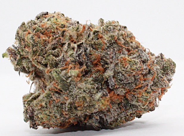 Exclusive-Indica-Gary Payton