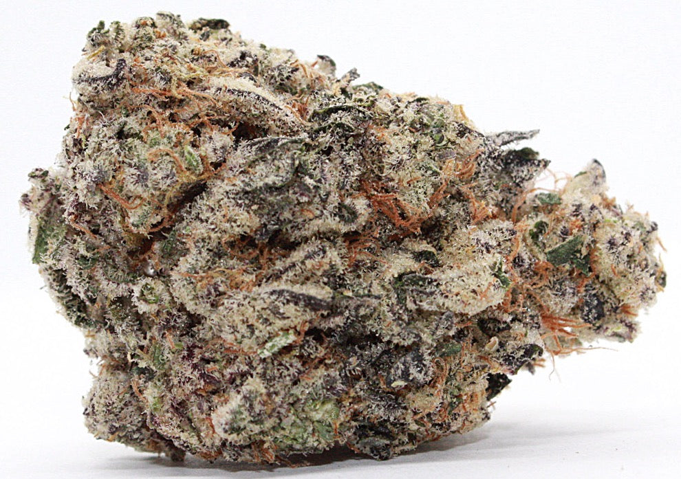 Exclusive-Indica-Animal Cookies