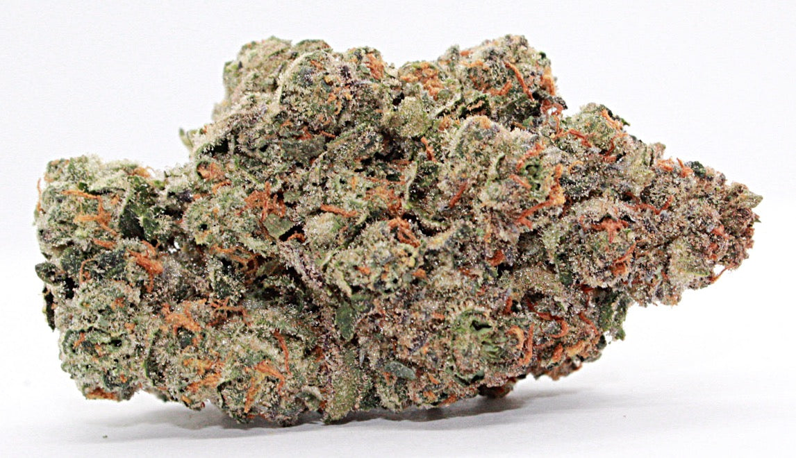 Exclusive-Indica-Motor Breath