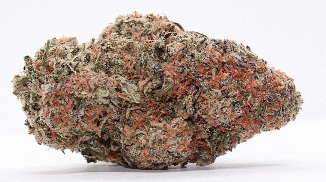 Exclusive-Indica-Mac 1