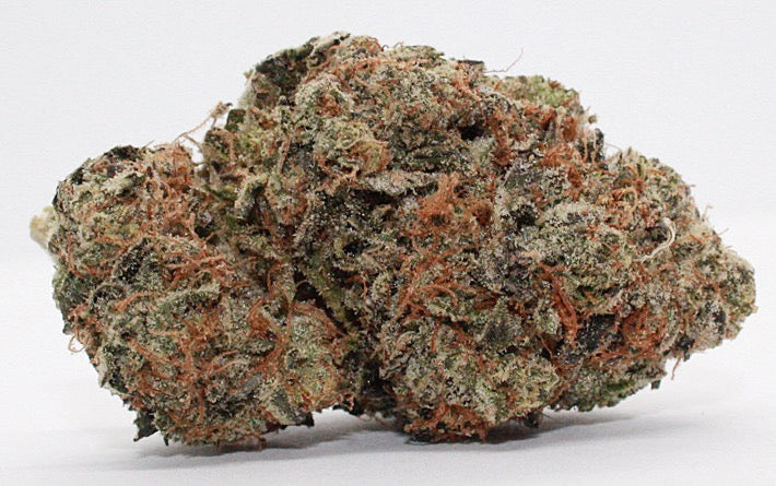 Exclusive-Indica-Octane