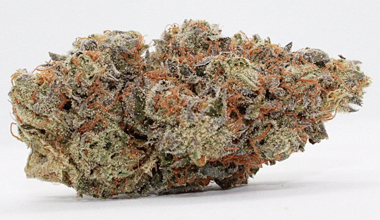 Exclusive-Indica-Snowman
