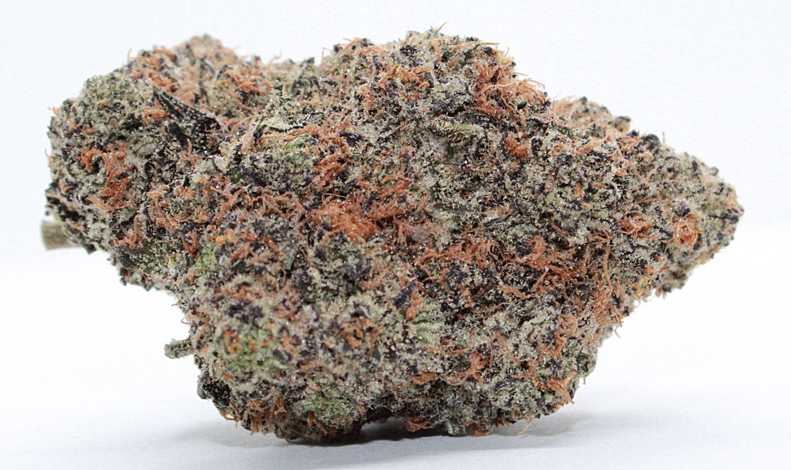 Exclusive-Indica-Glitter Bomb