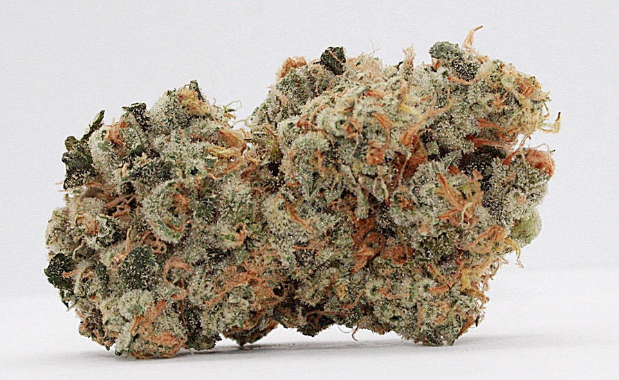 Indica-Exclusive-Draco