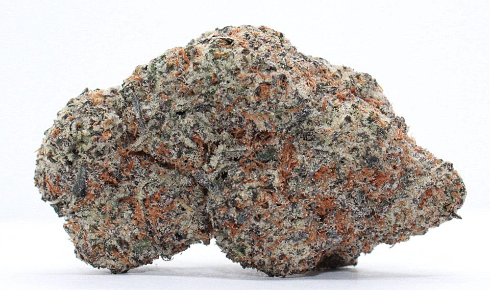 Indica-Exclusive-Draco