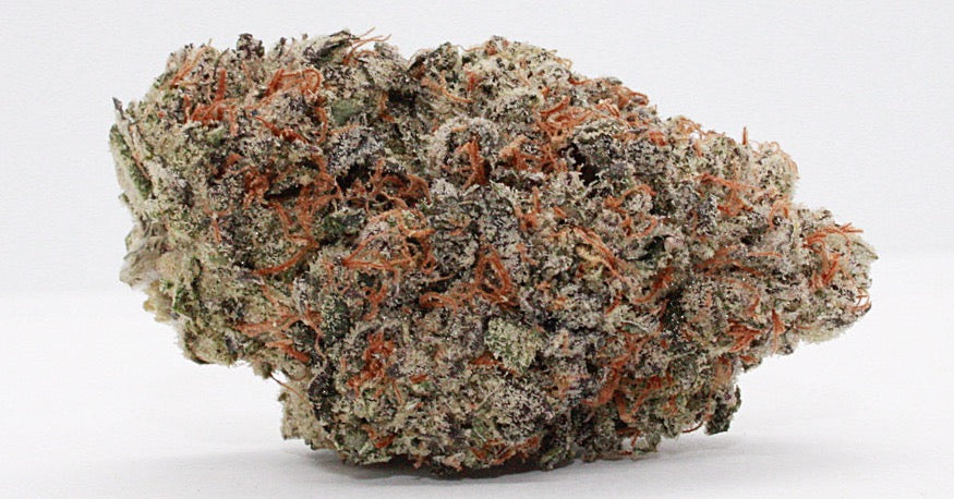 Exclusive-Indica-Don Julio