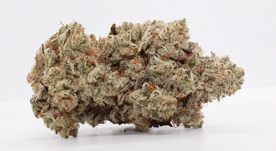 Exclusive-Hybrid-GG#3