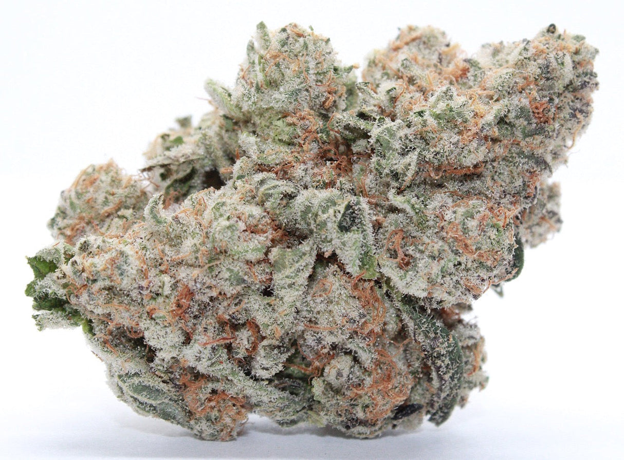 Exclusive-Indica-Dante’s Inferno
