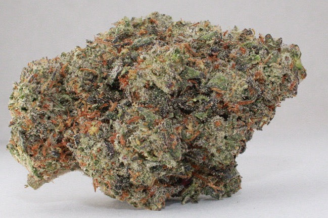 Exclusive-Indica-Pink Panties
