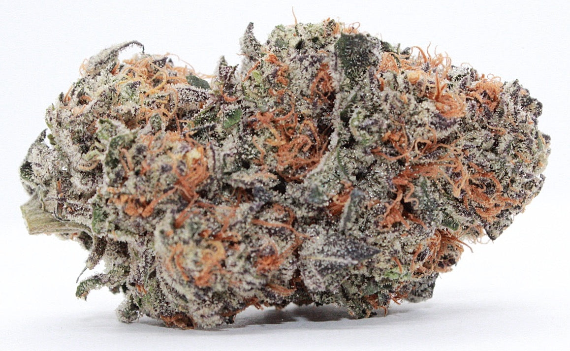 Exclusive-Indica-Black Larry Bird