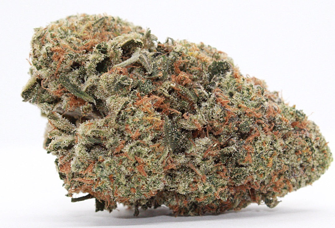 Indica-Exclusive-Blue Lobster OG
