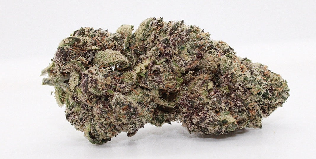 Exclusive-Indica Peyote Purple