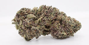 Exclusive-Indica Peyote Purple