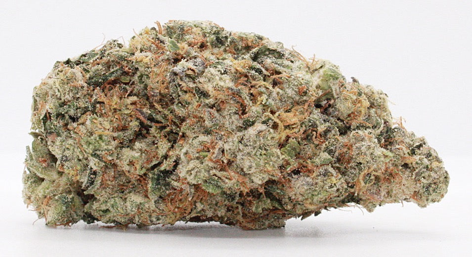 Exclusive-Indica-Orange Tree