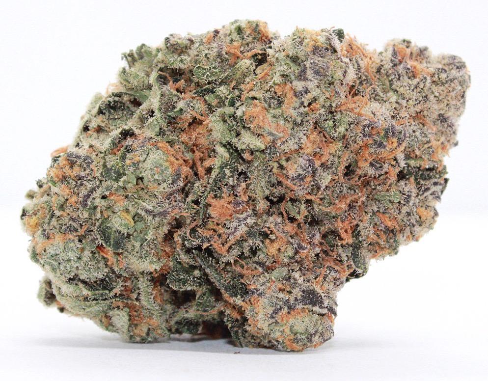 Hybrid-Exclusive-Gelato