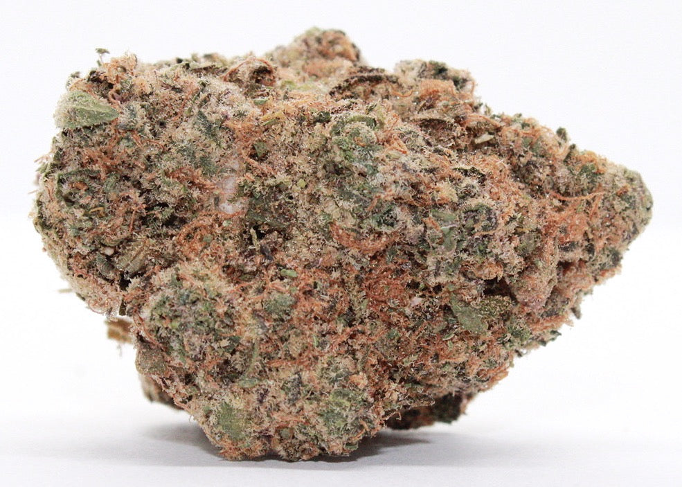 Exclusive-Indica-Animal Cookies