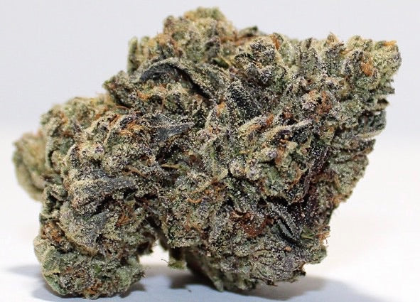 Indica-Private Reserve Yogurt